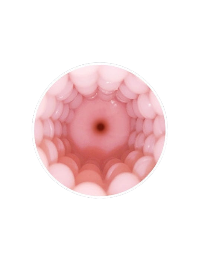 Lovense Max 2 Masturbator Sleeve