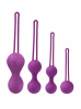 Basiks Get Fit Rechargeable Kegel Balls Set Purple