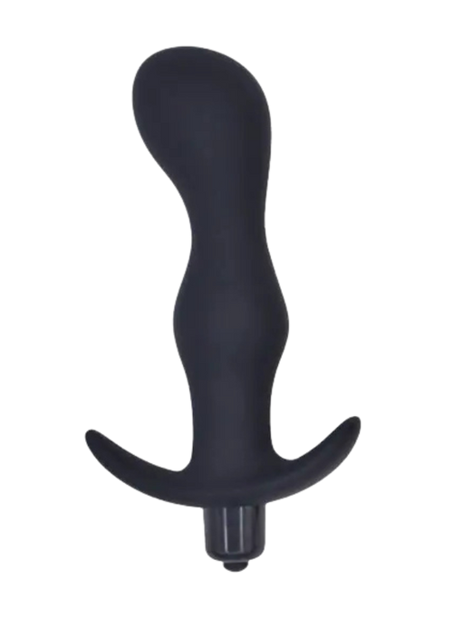 Basiks Noir Vibrating Butt Plug 13 cm Black