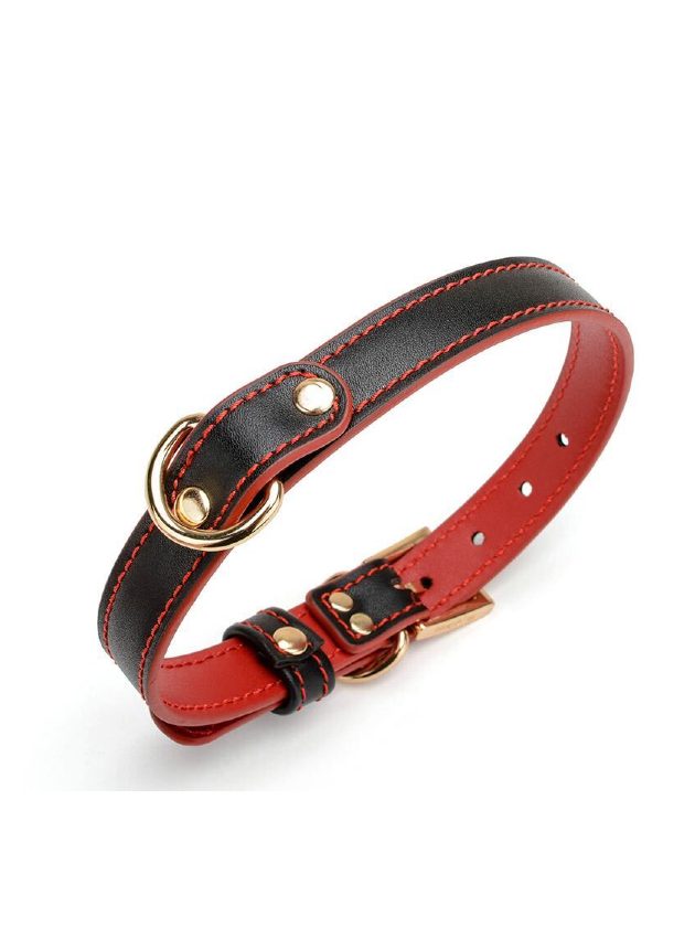 Obei Guide Me Real Leather Collar And Lead Set (red-set-2)