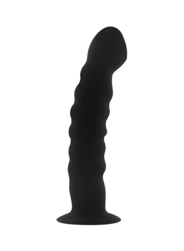 Dilly Beginners Curved Anal Dildo (n-n-1)